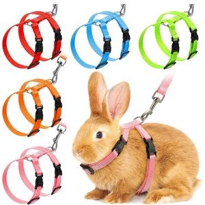 Rabbit / Small Pet Harnesses